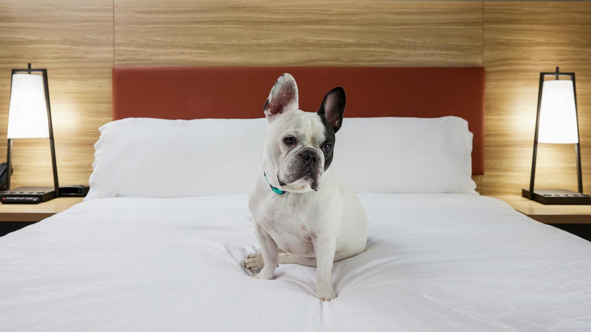 Candlewood Suites Junction City - Ft. Riley By Ihg Zewnętrze zdjęcie